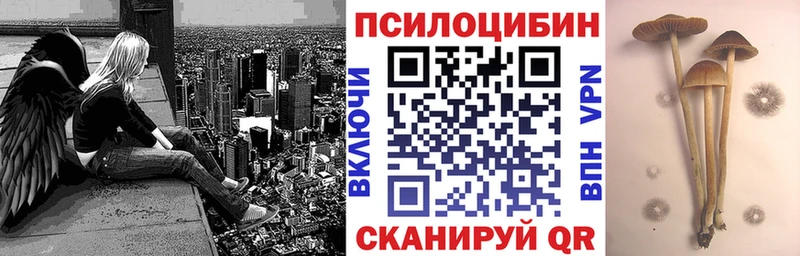 Псилоцибиновые грибы прущие грибы  сколько стоит  Окуловка 